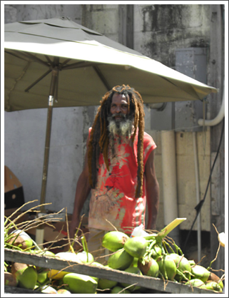BRIDGETOWN–Rastafarian coconuts