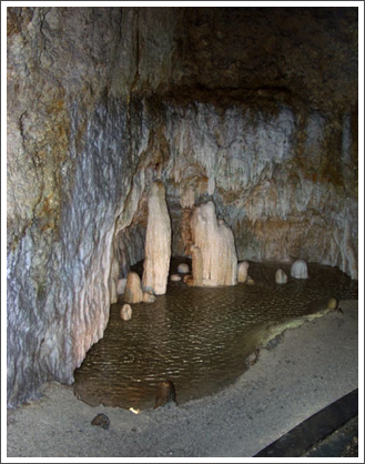 HARRISON'S CAVE–...the usual stalagmites and stalactites seen in caves.