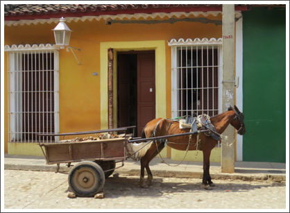 TRINIDAD–The locals still use dependable transportation, …