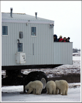 The rear balcony provided unimpeded views of visiting polar bears
