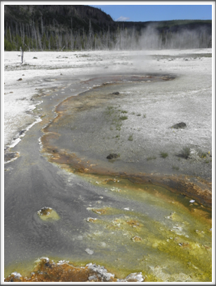YELLOWSTONE: mineral water seeping onto the surface leaves mineral deposits