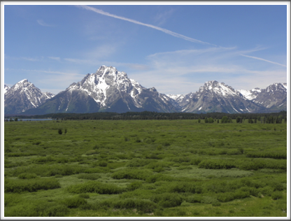 GRAND TETONS: and the Lupine Meadows
