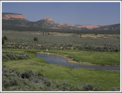 UTAH: a network of rivers provide just enough water for herds of cattle and bison and other wildlife