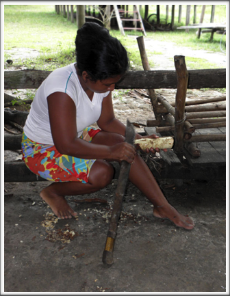 Scraping home-grown manioc with a machete