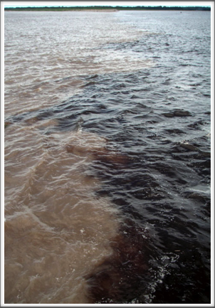 Dark Rio Negro water flows side by side with the muddy Solimoes