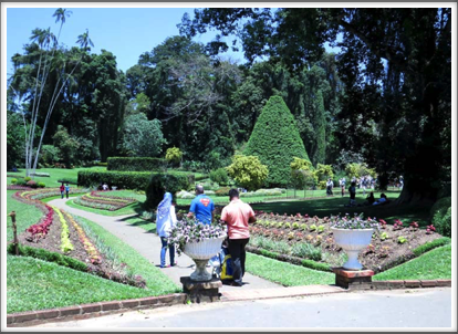 COLOMBO–lovely formal botanical gardens