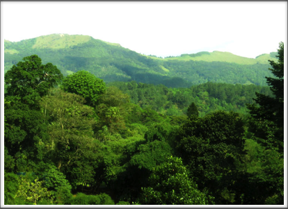 KANDY–leaving the city for the mountainous interior and vistas of rolling hills and valleys