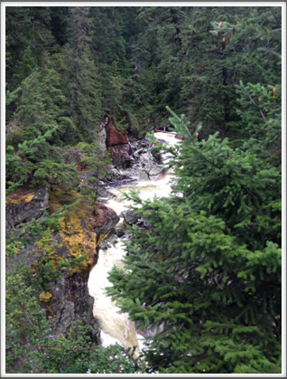 BRITISH COLUMBIA–a stream in the forest