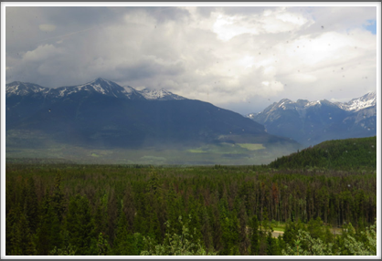 BRITISH COLUMBIA–forest and peaks of the Rockies