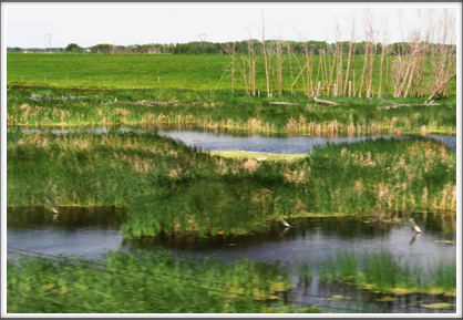 SASKATCHEWAN–wetlands...