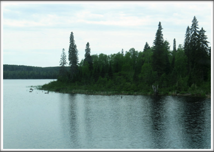 ONTARIO–nice view of river and forest