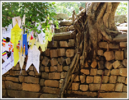 ANURADHAPURA–roots of a tree invade a stone wall