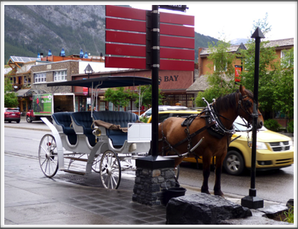BANFF—horse carriage for the delight of tourists