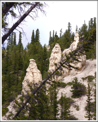 BOW RIVER—these formations are more commonly seen in desert settings, like Bryce Canyon in Utah
