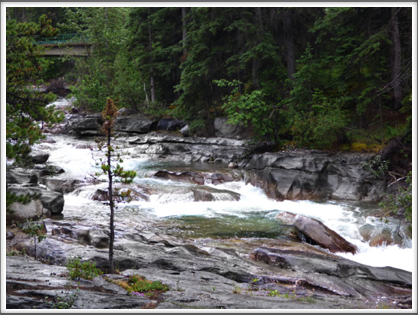 JASPER NATIONAL PARK—I think this is part of Sunwapta Falls on the river of the same name