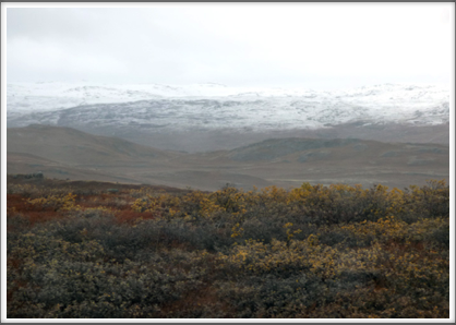 KANGERLUSSUAQ—the tundra reaches to the ice cap which covers the interior